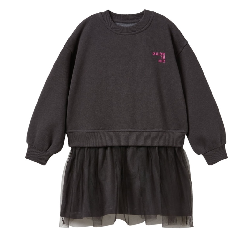 Zara Combination Tulle Dress